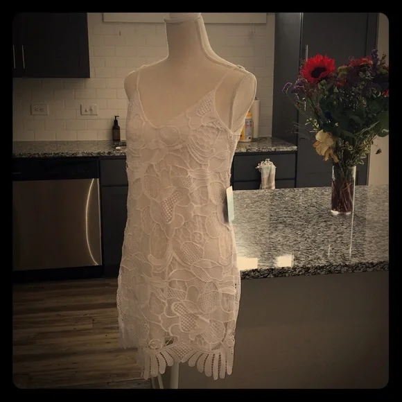 Express white Lace Trapeze Dress - Picture 5 of 7